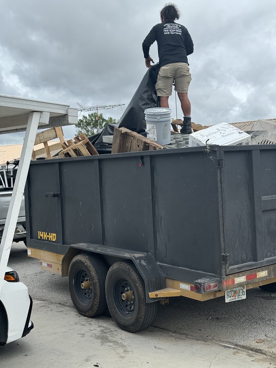 Yard debris cleared from a property
