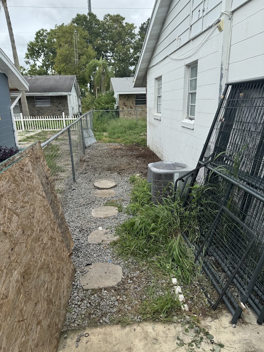 Stacked debris ready for removal